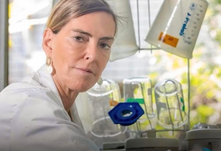 CIÊNCIA BRASILEIRA PERDEU PATENTE INTERNACIONAL DA POLILAMININA POR FALTA DE RECURSOS